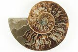5.55" Cut & Polished, Agatized Ammonite Fossil - Madagascar - #200030-2